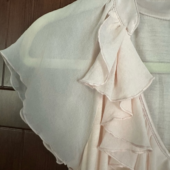 Express Light Pink Ruffle Blouse - Picture 10 of 10